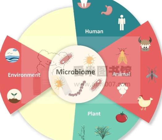 研协生物基因课王莹【8天大课】宏基因组专题培训