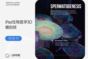 一目学园《iPad生物医学3D雕刻班 第二期》