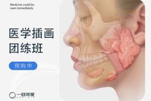 一目学园《医学插画 · 第13期 · 团练班》