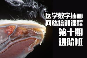 一目学园《医学插画网络班·第十期·进阶班》