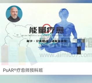 盖伊·尼德勒《PsAR®疗愈师预科班》