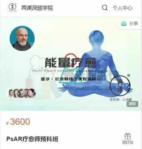 盖伊·尼德勒《PsAR疗愈师二阶段》